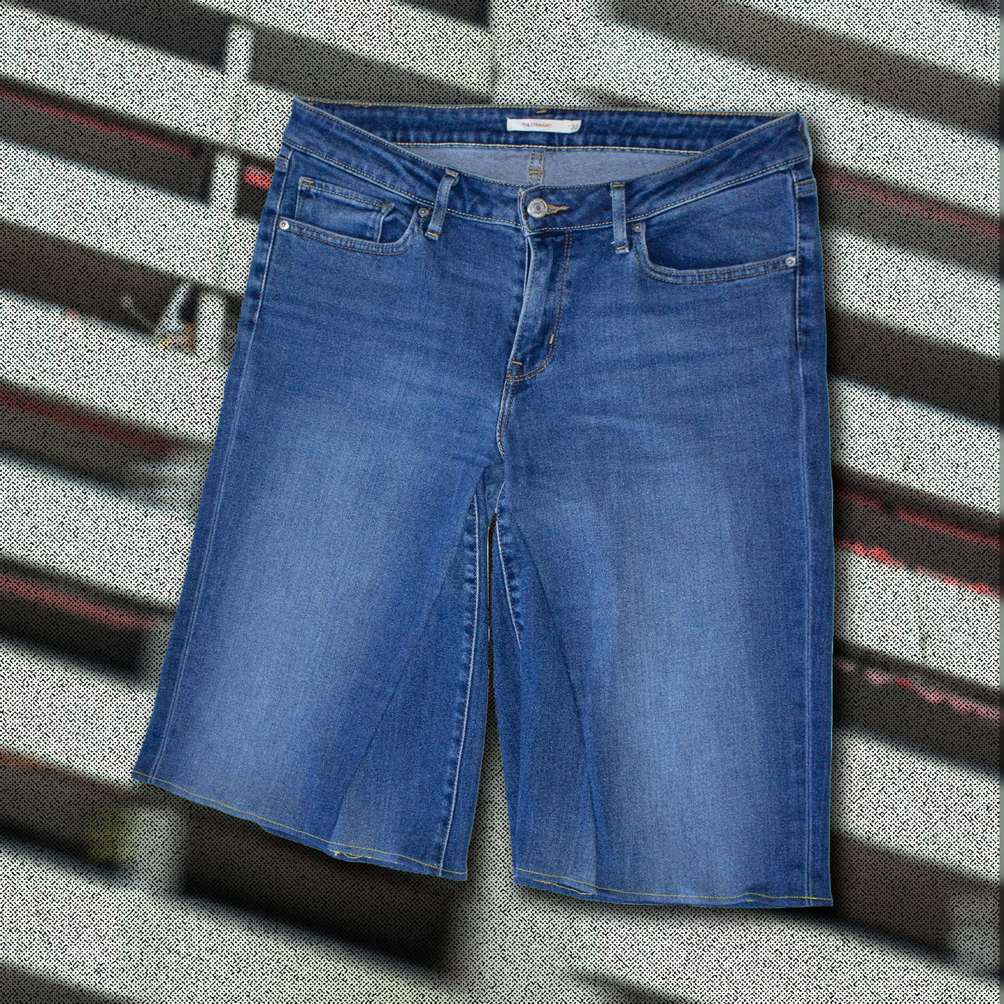 Jorts #19